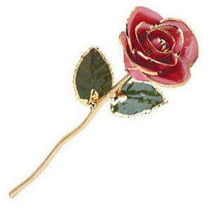 Lacquered Pink Rose
