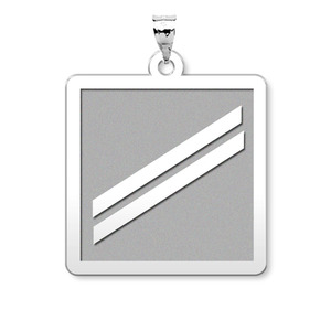 Unites States Navy Seaman Apprentice Pendant