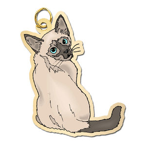Cat   Siamese Charm