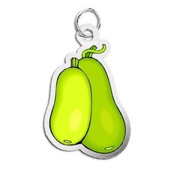 Squash Charm