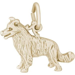 Border Colllie Dog