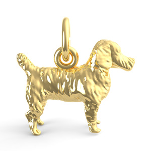 Jack Russell Terrier Dog