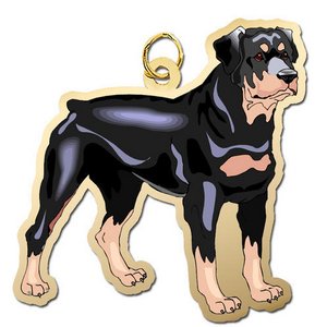Dog   Rottweiller Charm