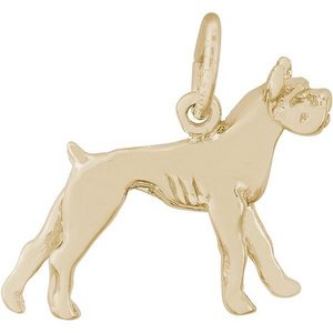 DOG BOXER