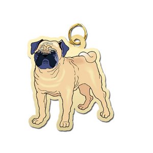 Dog   Pug Charm