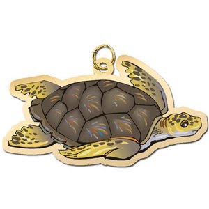 Sea Turtle Charm
