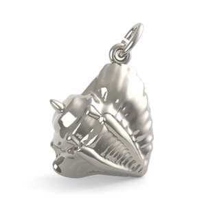 Conch Shell
