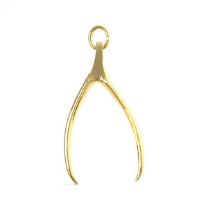 Wishbone Charm