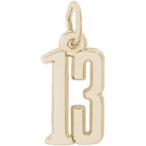NUMBER 13